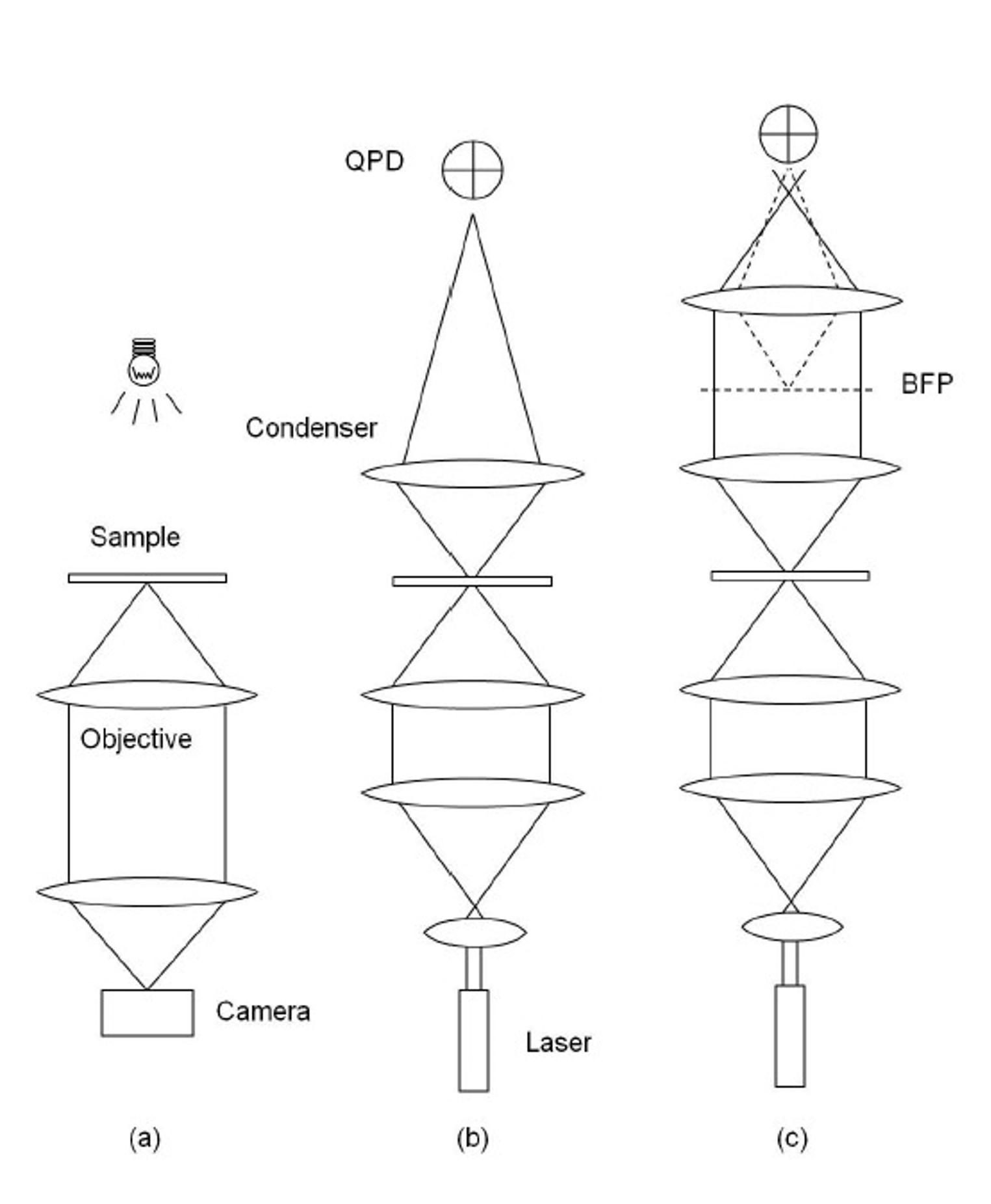 Detection schemes in optical tweezer