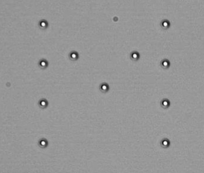 A pattern of 11 optically trapped microspheres