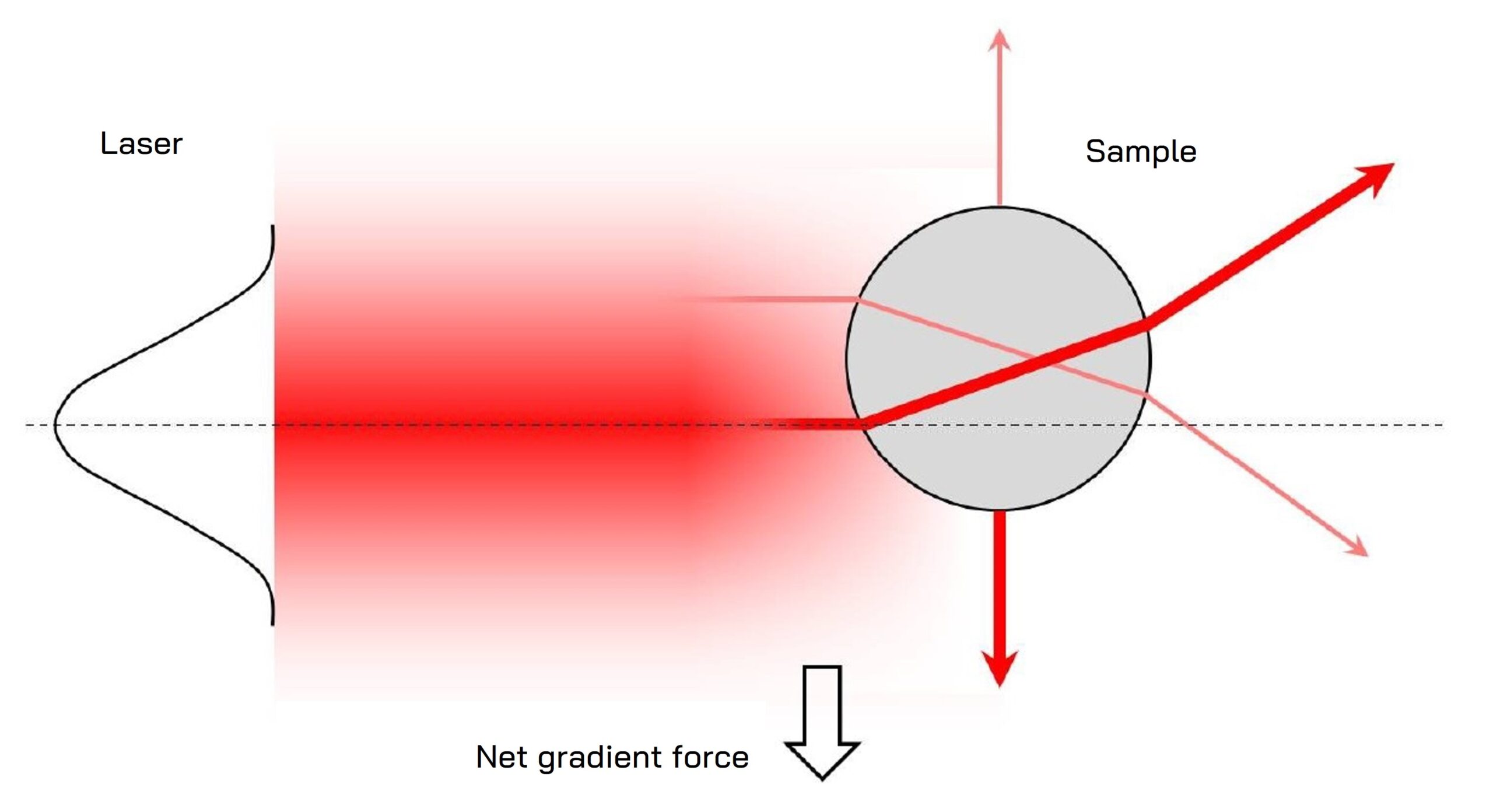 Lateral light momentum transfer in optical tweezers