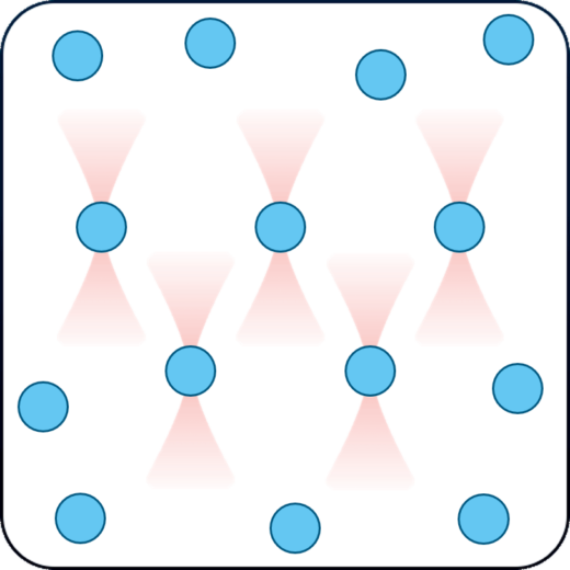 Colloids physics application with optical tweezers