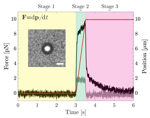 Experimental protocol for the characterization of an active colloid bath with optical tweezers