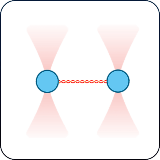 Single-molecule application with optical tweezers