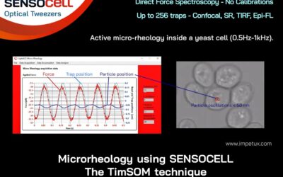 Webinar on Microrheology with SENSOCELL