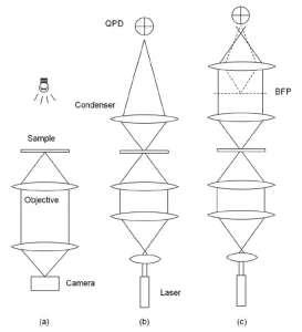 Detection-schemes-OT_2-e1721047188906